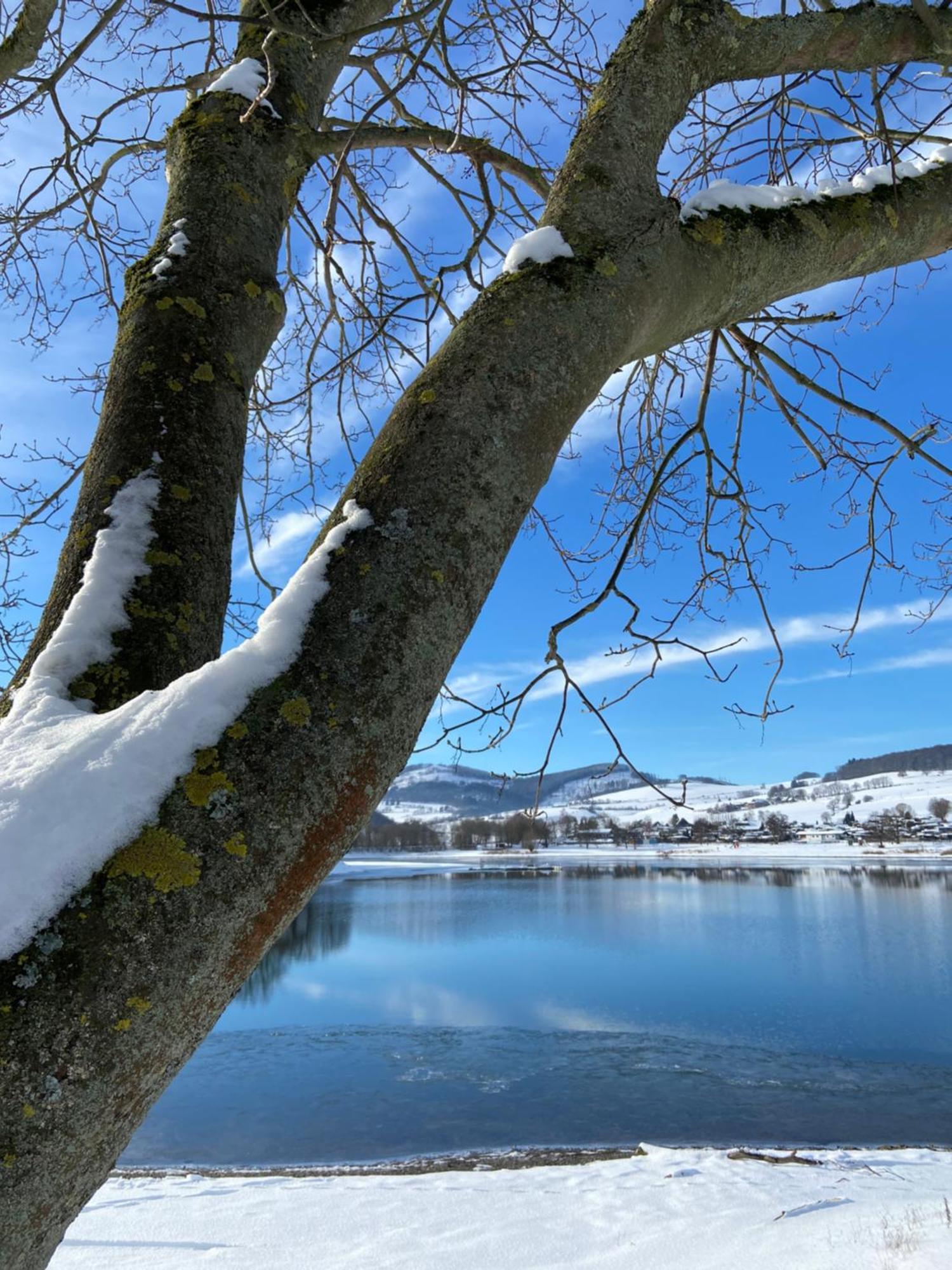 Fewo Panorama Diemelsee المظهر الخارجي الصورة